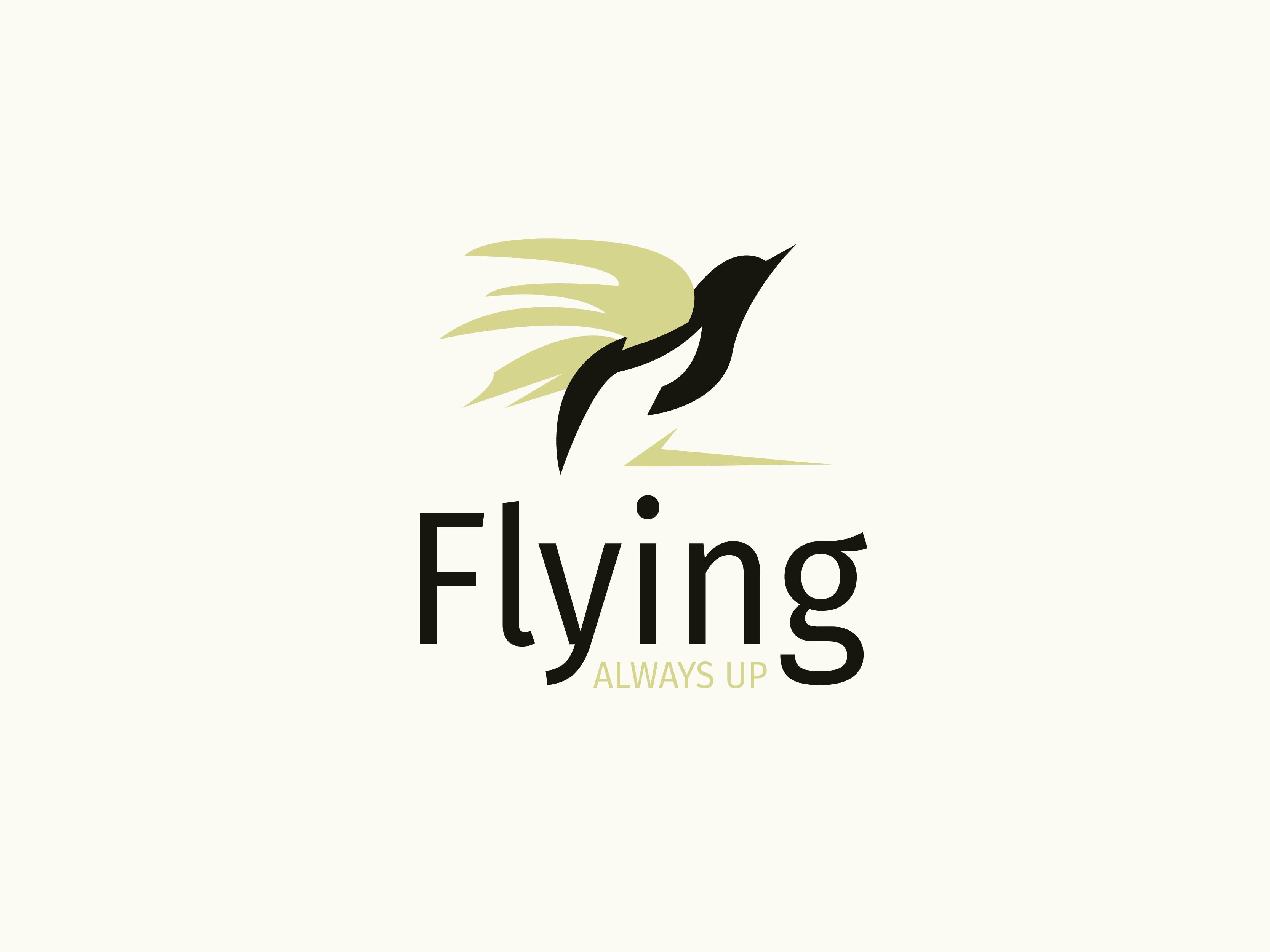 Flying Bird Logo Design – Modern Creative Brand Identity